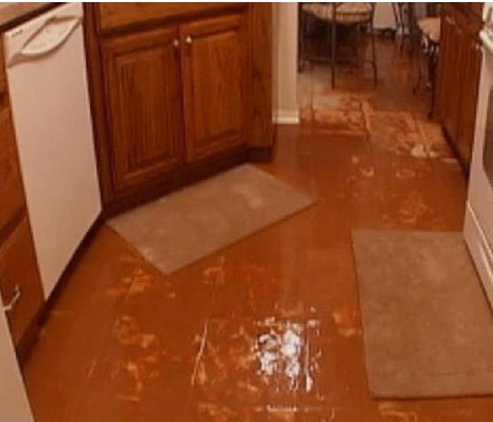 Water pooled in a kitchen from a dishwasher malfunction
