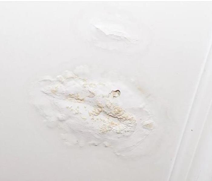 A section of a white ceiling with bubbled, brown-stained paint showing damage