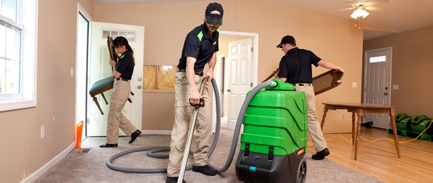 New Paltz, NY cleaning services