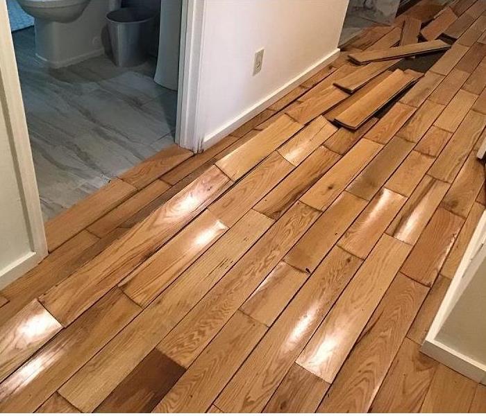 A lifted and buckled hardwood floor 